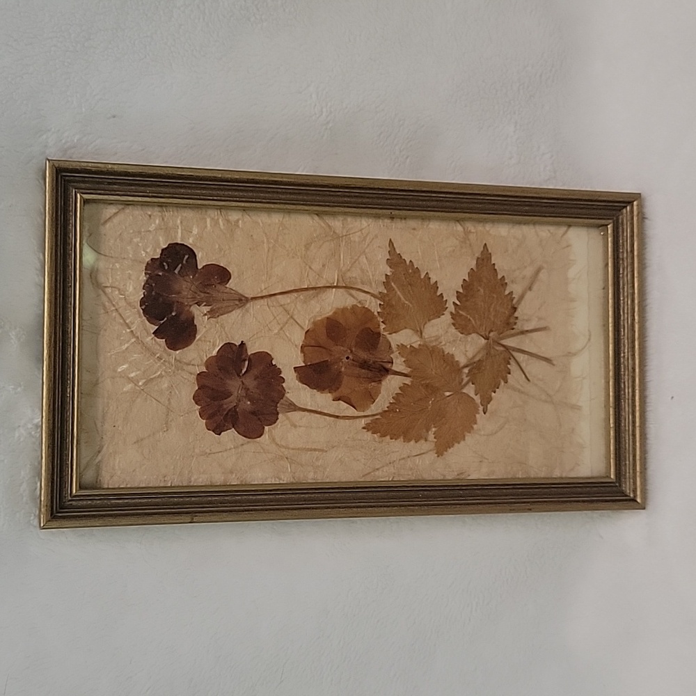 #3 Nice 9" x 5" Pressed Plant Picture